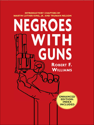 cover image of Negroes with Guns